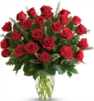 24 Rosas rojas largas