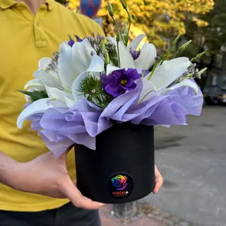 Box 1