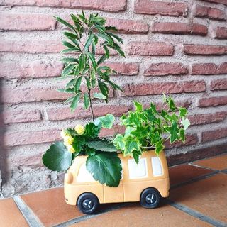 Furgoneta retro cerámica con plantas varias