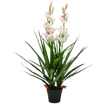 Ramo Orchidea Cymbidium