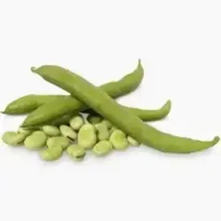 Habas de la costa (500 G.)