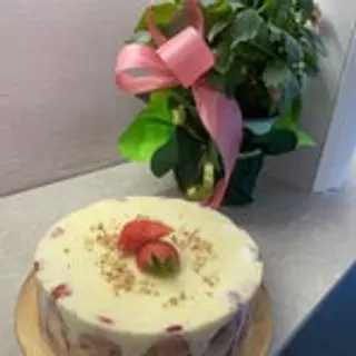 Torte gelato 1 kg