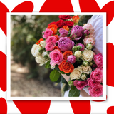 ჯუჯა ვარდები 15 ტოტი