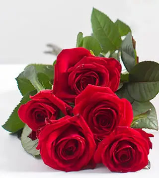 5 წითელი ვარდი