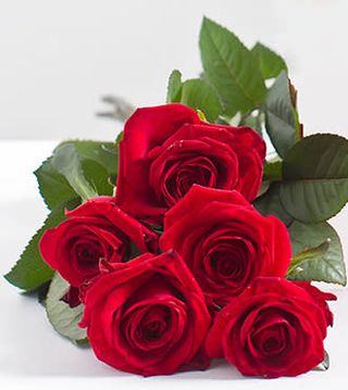 5 წითელი ვარდი