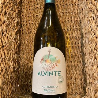 Vino Alvinte