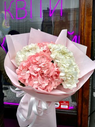 Хмаринки гортензій м