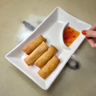 073 - Involtini Primavera / Spring Rolls / 春卷