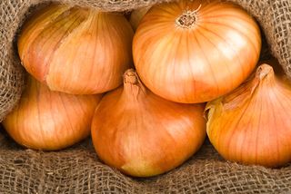 Cipolle Montoro Avellino 1 kg