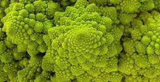 Cavoli verdi