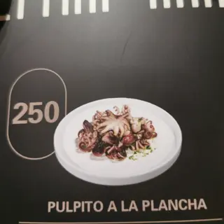 250.PULPITO