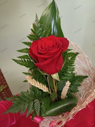 Rosa Amor Vermelha