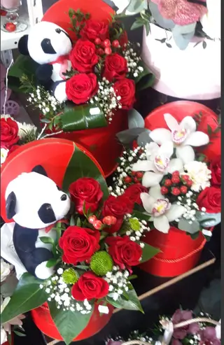 Box ruze plisani panda