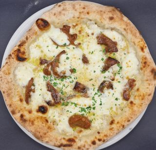 Funghi porcini