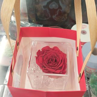 Rosa stabilizzata in cubo