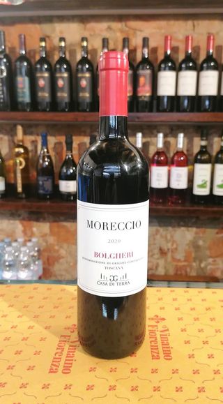 Bolgheri DOC 