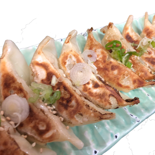 Gyozas De Verduras A La Sartén (10 Pzs.)