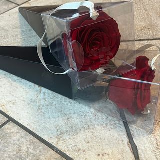 Rosa eterna rossa con gambo lungo