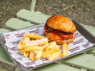 Полтавський палій (410/145г)