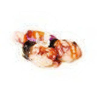 7. Tako polipo