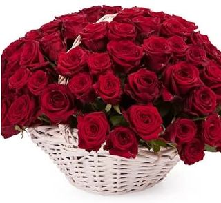 B_018 101 ruža u korpi
