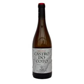 Castro Do Coto