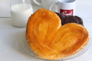 Palmera De Azúcar Glas