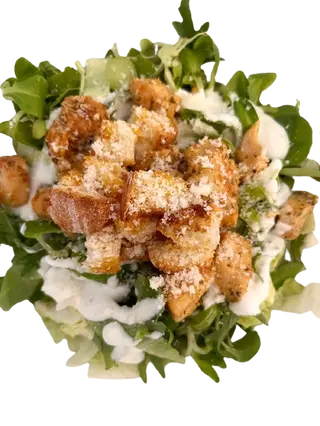 Casear salata
