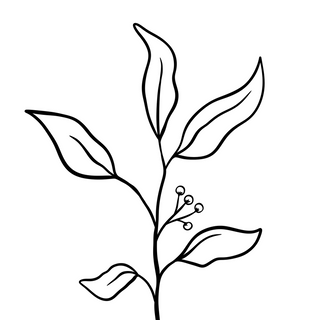 Szakszuka  pomidorowa z kozim serem