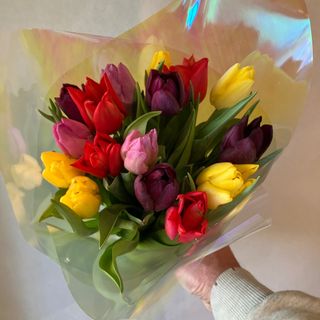 Bukiet 10 tulipanów 