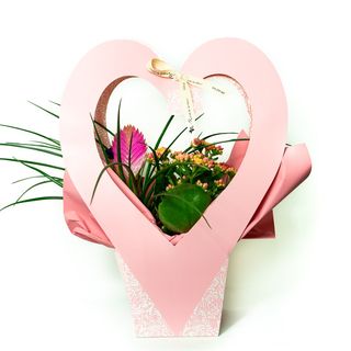 Bolso corazón rosa con plantas