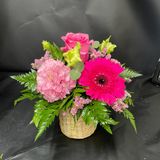 Centro decorativo Rosa