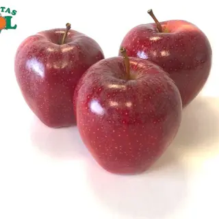Manzana Red Chef (1 Kg. Aprox)