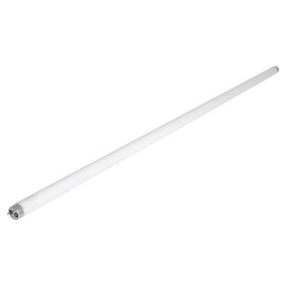 Tubo Fluorescente T8