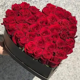 15 Roses Éternelles