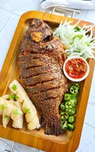 Tilapia