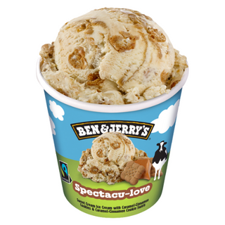 CHOCO DARK & BROWNIE 500ml