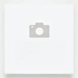 37. Свинско Специалитет на готвача (600г)