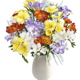 Buchet 21 frezii multicolore