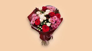 შენი დღეა