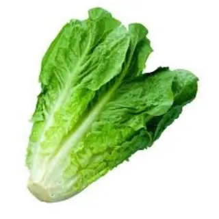 Lechuga Romana (1 Ud.)