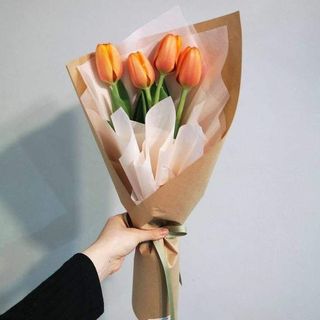  4 სტაფილოსფერი  ტიტა