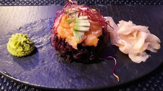 228 Tartara yoshi black