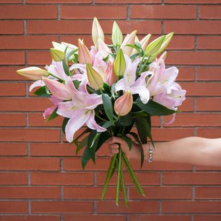 Ramo de cinco liliums orientales