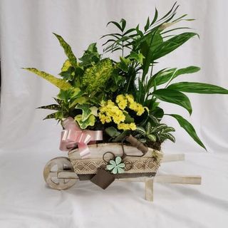 Carretilla Decorativa Con Plantas