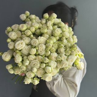 Біла кущова троянда міс Бомбастік