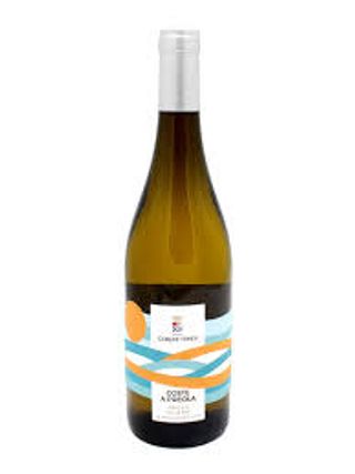 Scalia & Oliva - Grillo