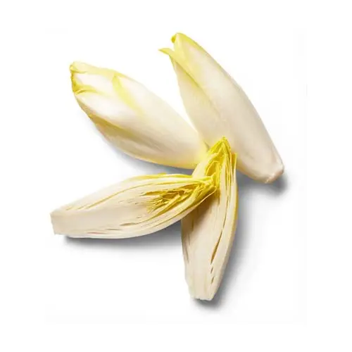 Legume