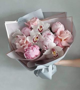 პიონი ორქიდეა 