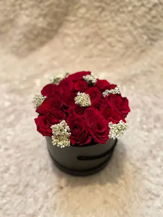 Scarlet Elegance 